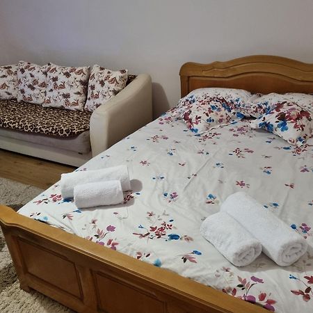 Garsoniera Emilia Apartman Moldvahosszúmező Kültér fotó