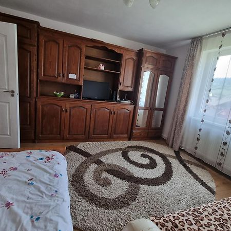 Garsoniera Emilia Apartman Moldvahosszúmező Kültér fotó