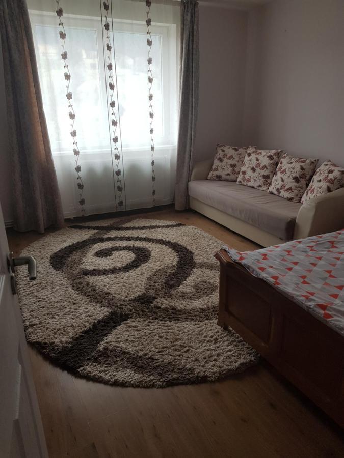 Garsoniera Emilia Apartman Moldvahosszúmező Kültér fotó