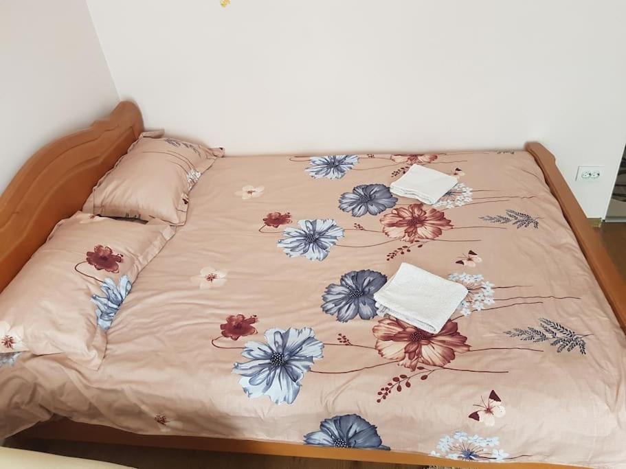 Garsoniera Emilia Apartman Moldvahosszúmező Kültér fotó