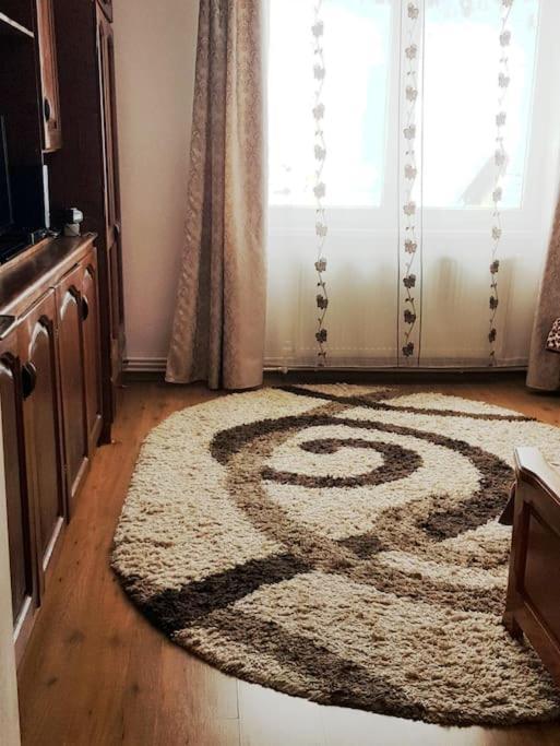 Garsoniera Emilia Apartman Moldvahosszúmező Kültér fotó