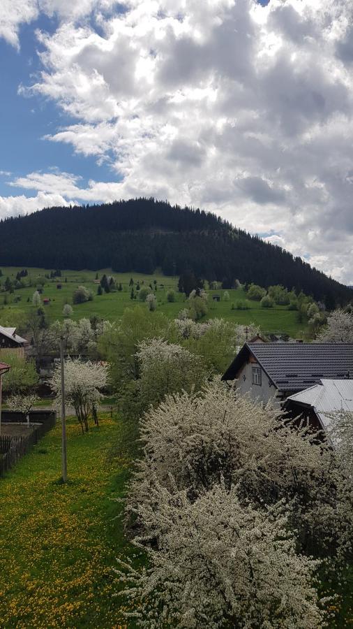 Garsoniera Emilia Apartman Moldvahosszúmező Kültér fotó