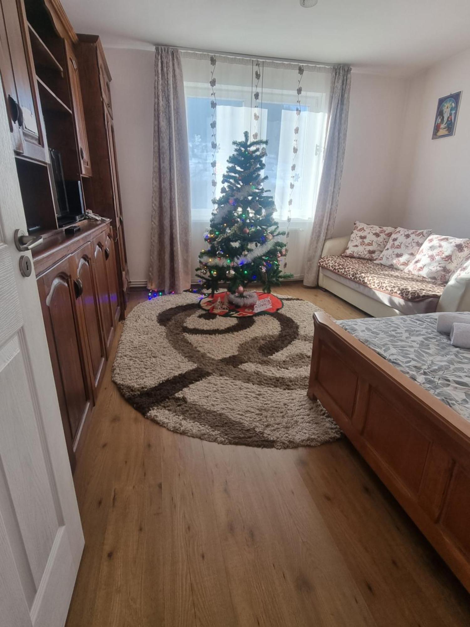 Garsoniera Emilia Apartman Moldvahosszúmező Kültér fotó