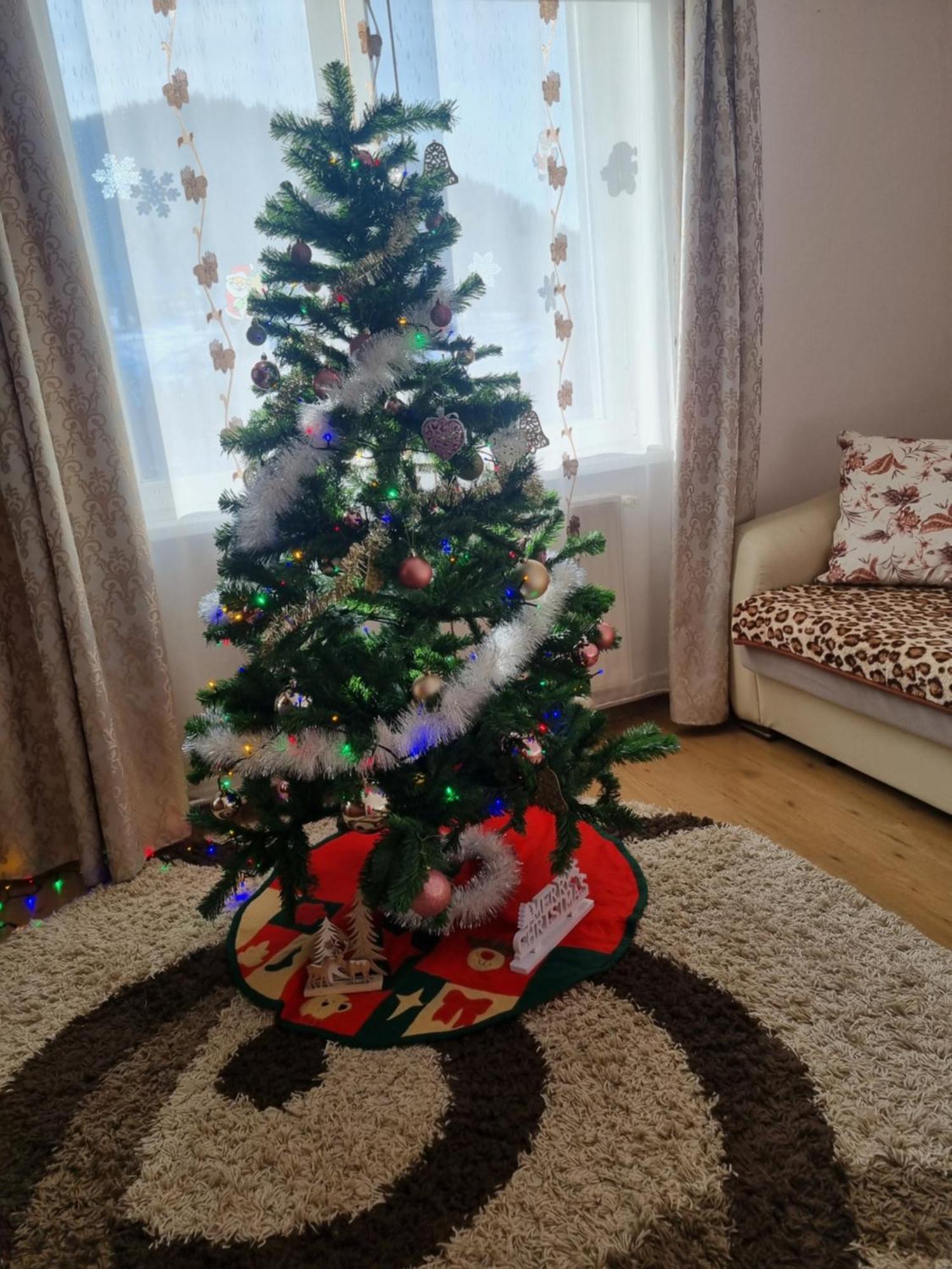 Garsoniera Emilia Apartman Moldvahosszúmező Kültér fotó