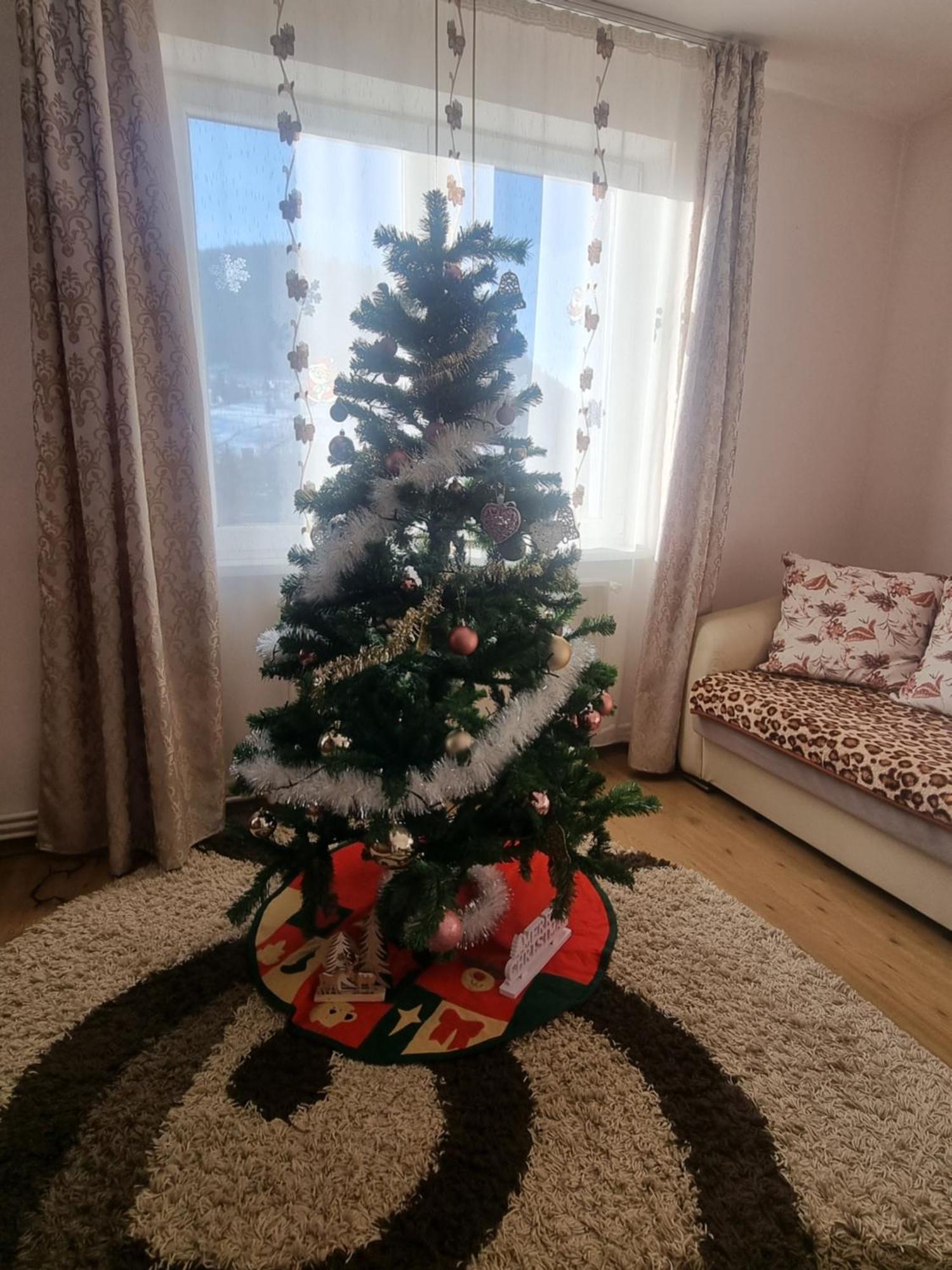 Garsoniera Emilia Apartman Moldvahosszúmező Kültér fotó