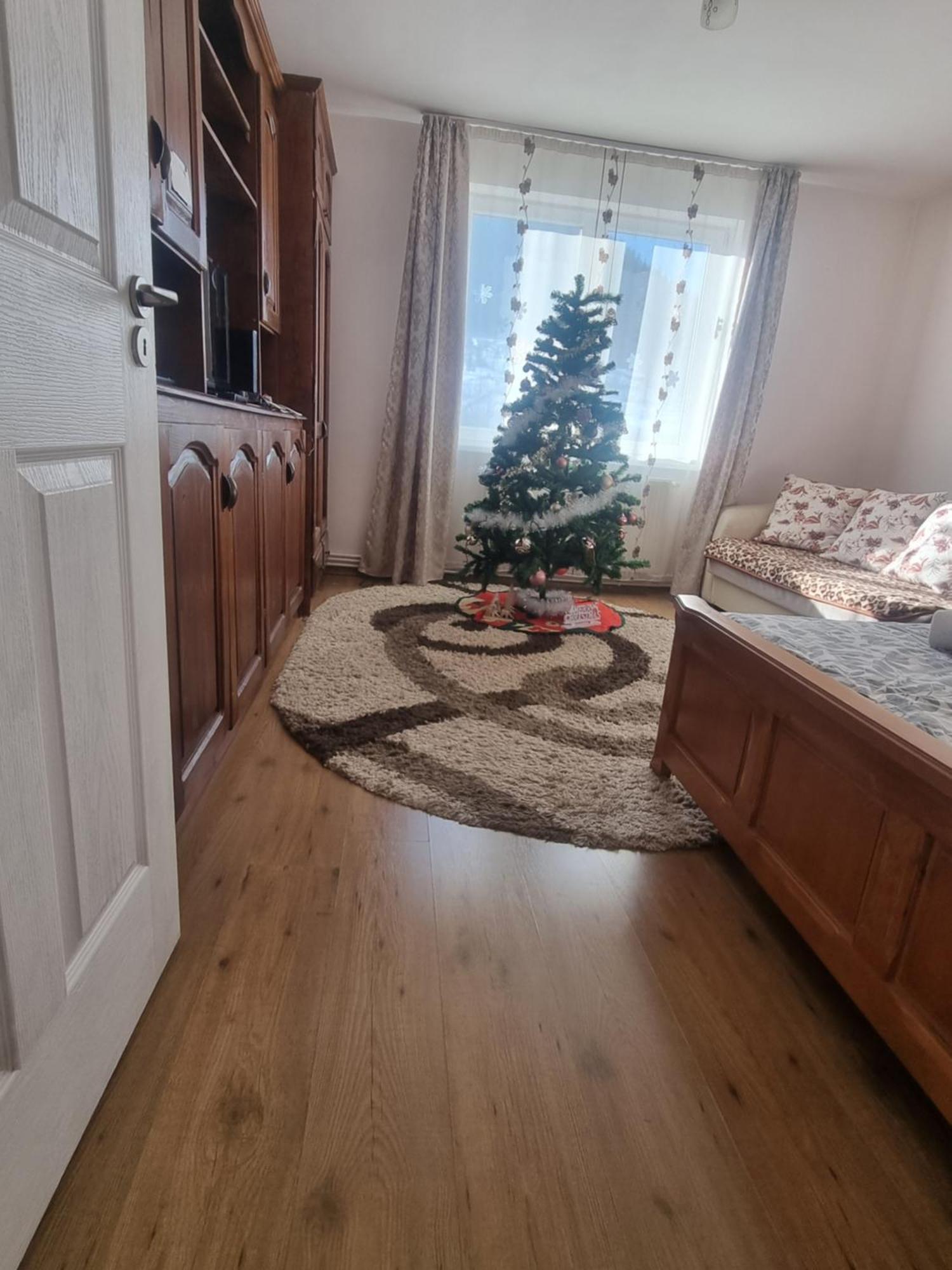 Garsoniera Emilia Apartman Moldvahosszúmező Kültér fotó