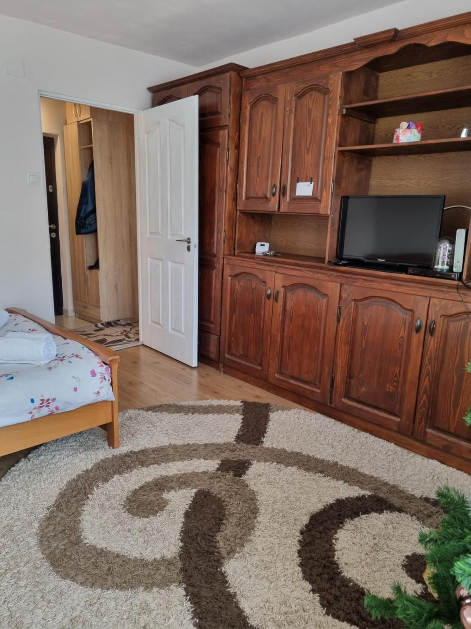 Garsoniera Emilia Apartman Moldvahosszúmező Kültér fotó